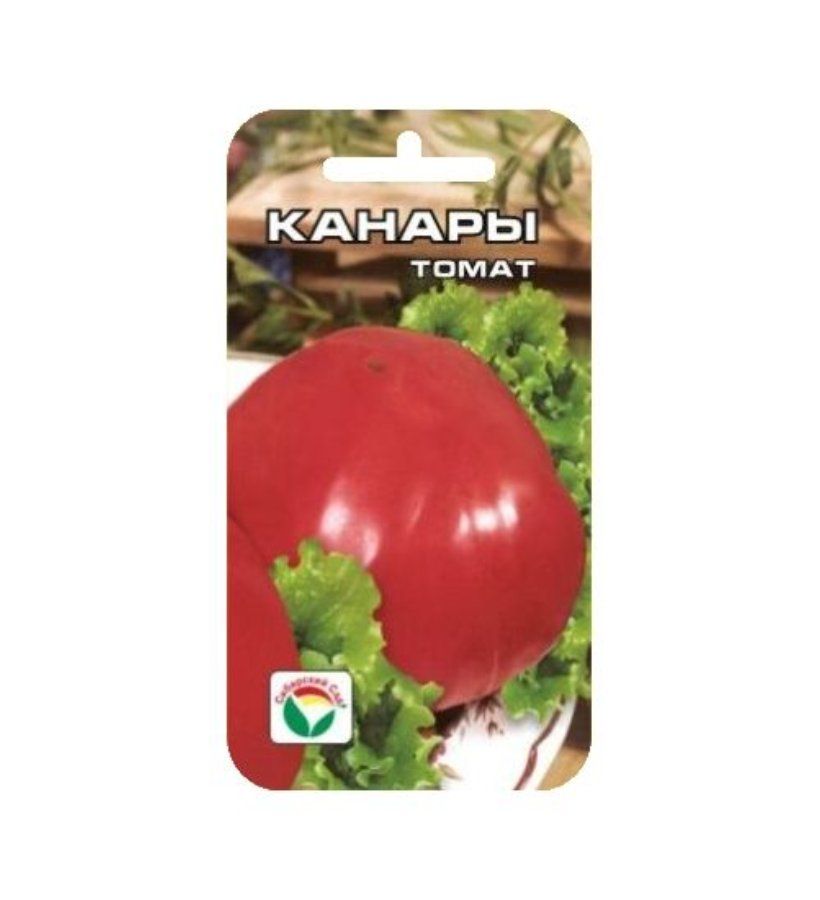 Томат Канары Отзывы Фото Урожайность