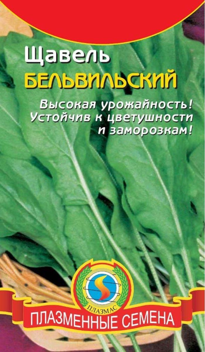 Семена щавеля. Мангольд плазменные семена. Щавель Бельвильский. Щавель сорт Бельвильский. Семена мангольд красный плазменные семена.