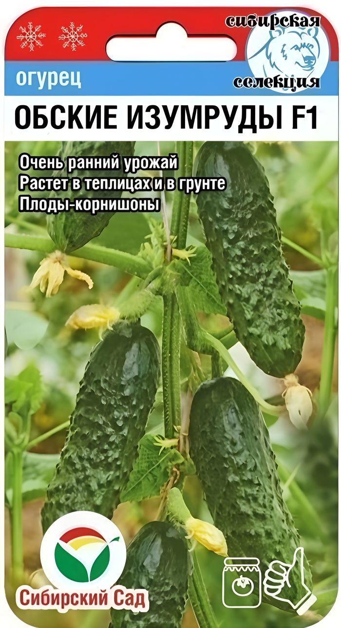 Огурцы Изумрудная Сережка Отзывы Фото