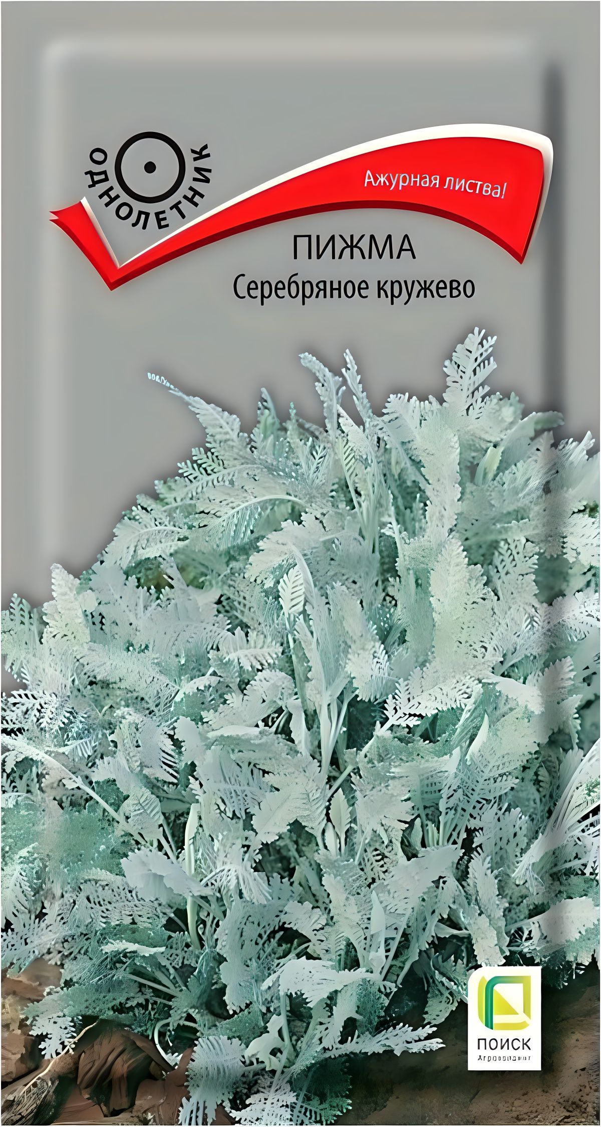 Цинерария серебристое кружево /сотка/ 0,05г / h-15-30см/*2000 10,90р. =5шт