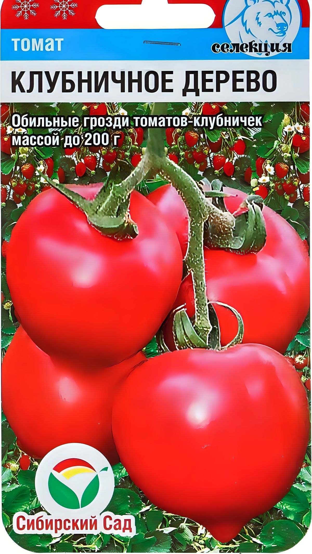 Томат клубника. Томат клубничное дерево Сибирский сад. Семена томат клубничное дерево. СИБСАД томат клубничное дерево. Томат клубничное дерево Сиб.сад (шт.).